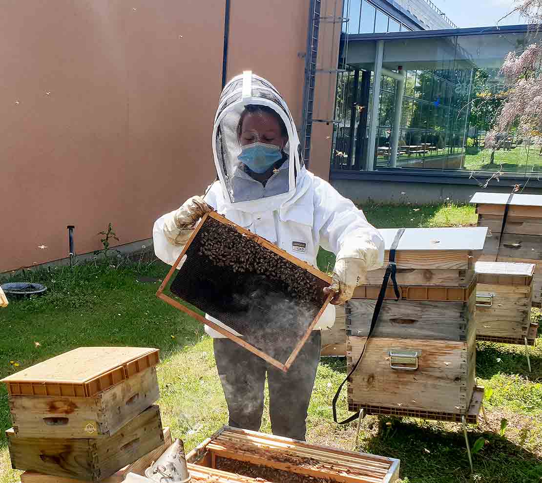 For the past 3 years, one of our France facilities has been supporting local biodiversity efforts by housing an apiary with four beehives.